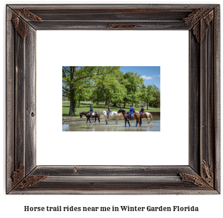 horse trail rides near me in Winter Garden, Florida